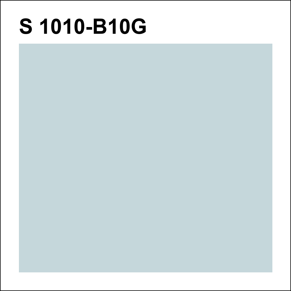 S 1010-B10G за кг