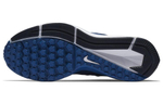 Кроссовки Nike Zoom Winflo 5