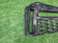 Решетка перед. бампера BMW 5er G30 (17-20) M-paket