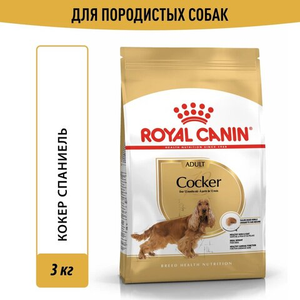 Корм для взрослых собак породы кокер-спаниель, Royal Canin Cocker Adult