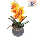Цветочная композиция «Орхидея» 10*28см желтая в пластиковом горшке