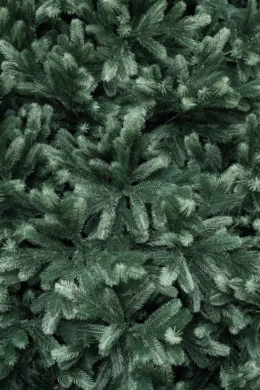 Искусственная ель Царская 4 м., ствольная, интерьерная, 100% Литая хвоя, ЕлкиТорг (194400)