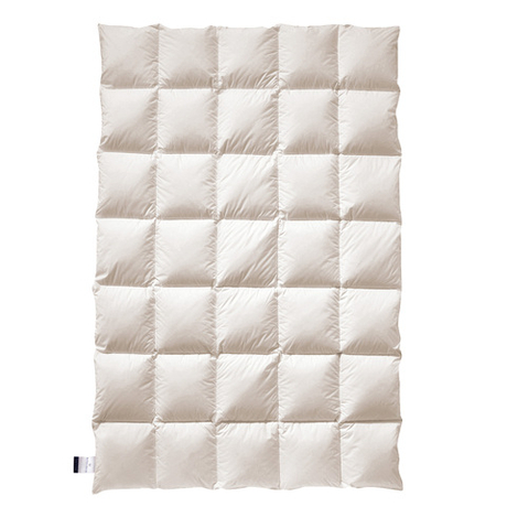 Одеяло пуховое 155х200 Billerbeck Greta Mono