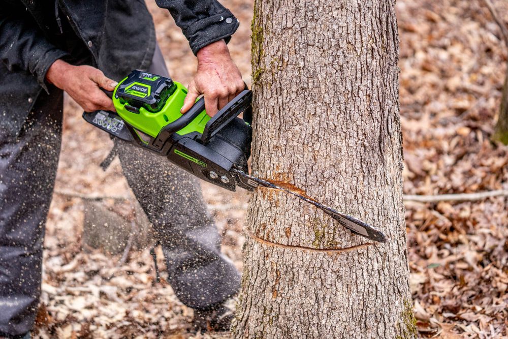 Цепная пила аккумуляторная Greenworks GD60CS25k5 Арт. 2008907U2G, 60V, 40 см, бесщеточная, 2500 Вт, с 2хАКБ 5 Ач. и ЗУ