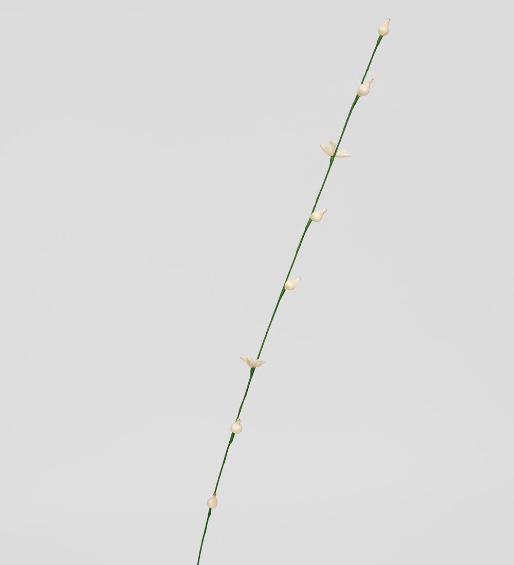 TR 414 Ветка жасмина