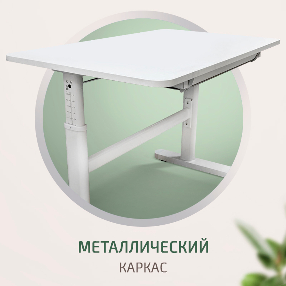 Растущая парта Ergokids Vegas