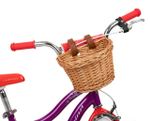 Детский велосипед Schwinn Elm 16 (2020)