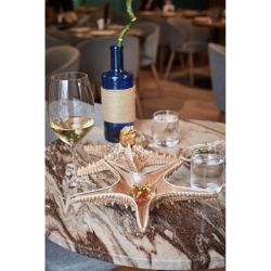 Блюдо для подачи 28*28 см h6 см 100 мл Звезда Pearl Starfish Frutti di Mare P.L. [1]