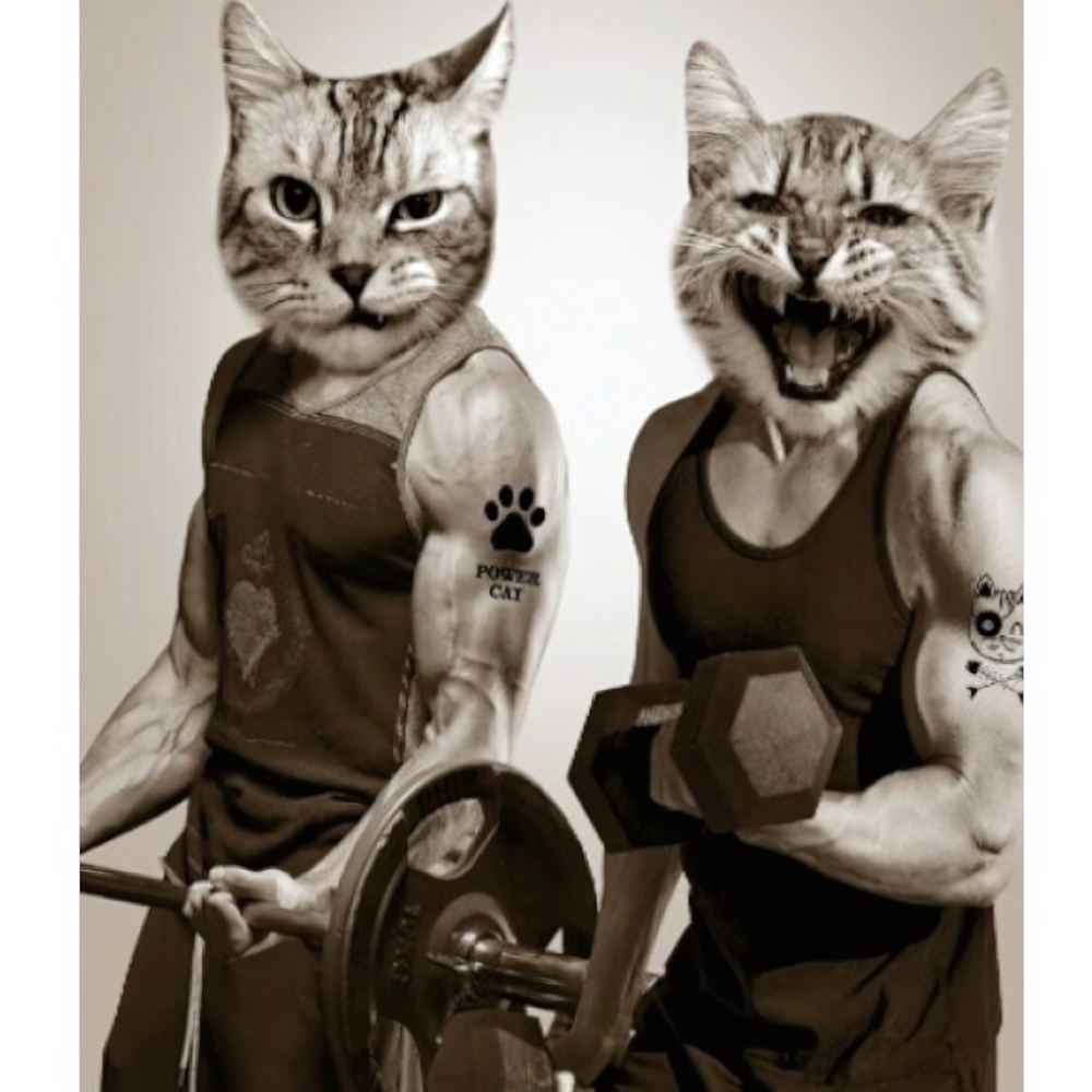 Штора для ванной комнаты Фотопринт 180*200 "КОТЫ" с кольцами Gum cats