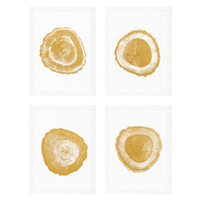 Постер Prints Gold Foil: Tree Rings set of 4 арт.110875