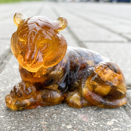 Тигр лежит сложив лапы