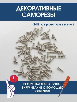 Набор саморезов (шурупов) 2 х 10 мм, хром, 100 шт