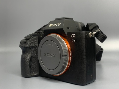 Sony A7 II 1300 кадров