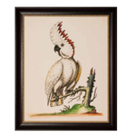 Постер Какаду 72х86 см