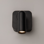 Настенный светильник (бра) Maytoni C039WL-L3B3K