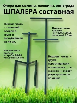 Шпалера для малины и винограда