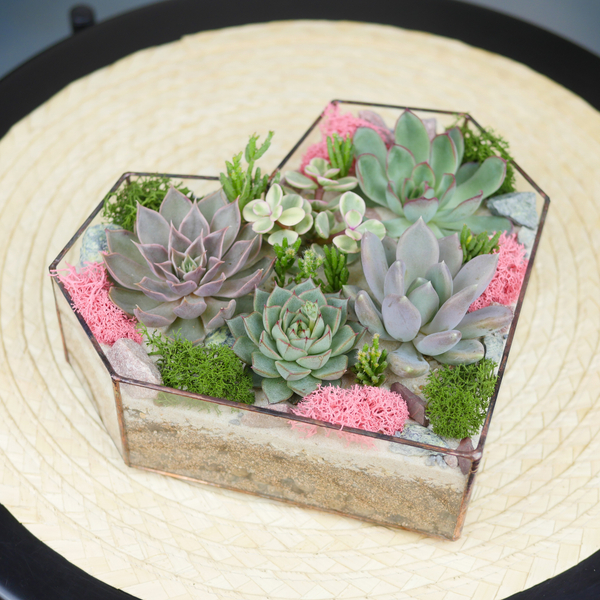 Готовый флорариум с суккулентами Сердце 20см