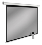 Экран  Cactus CS-PSSME-220X138-WT