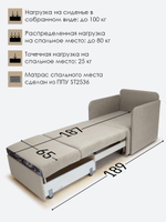 Кресло-кровать "Миник" с подлокотниками, купон Тигр