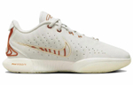 Кроссовки Nike Lebron 21 Ep "Akoya" 21 Lbj21
