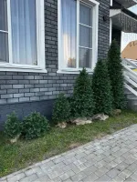 Туя-Шар искусственная (Литая хвоя) 40 см \ 70 см