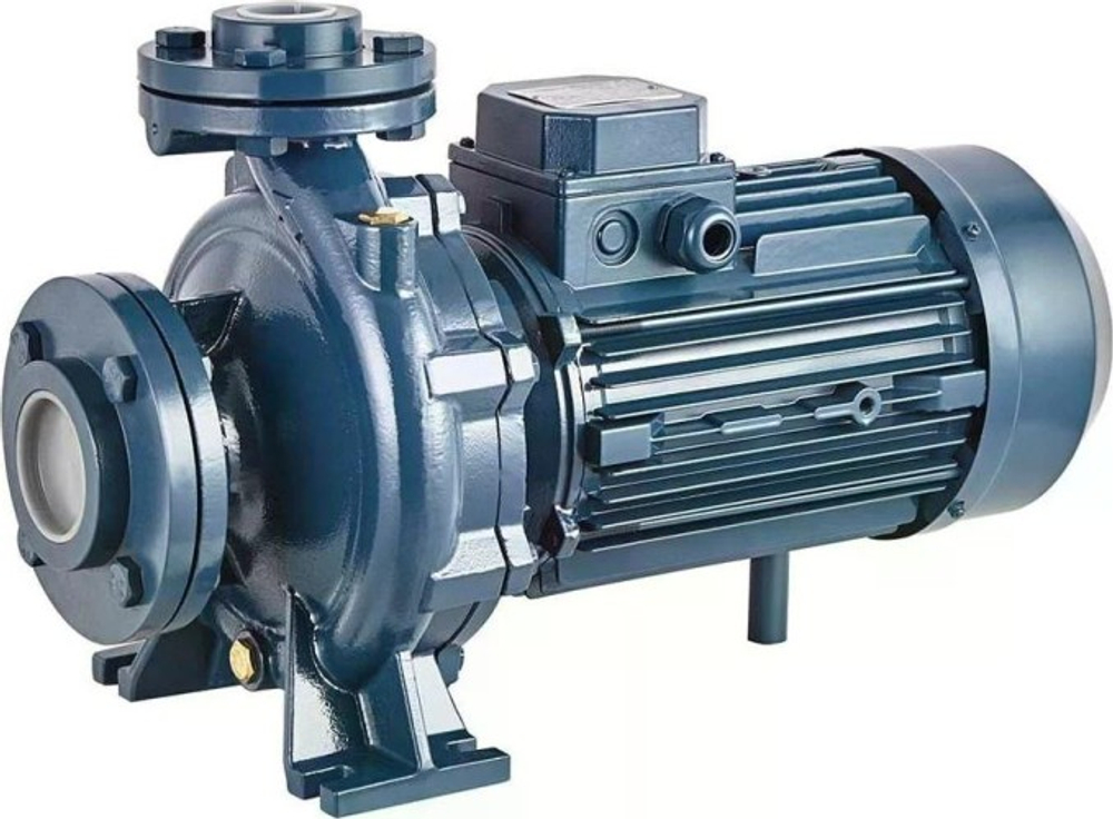 Моноблочный насос PURITY PSTC 50-125/30 100588144