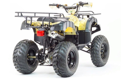 Квадроцикл MOTOLAND 250 Adventure (2021 Г.)