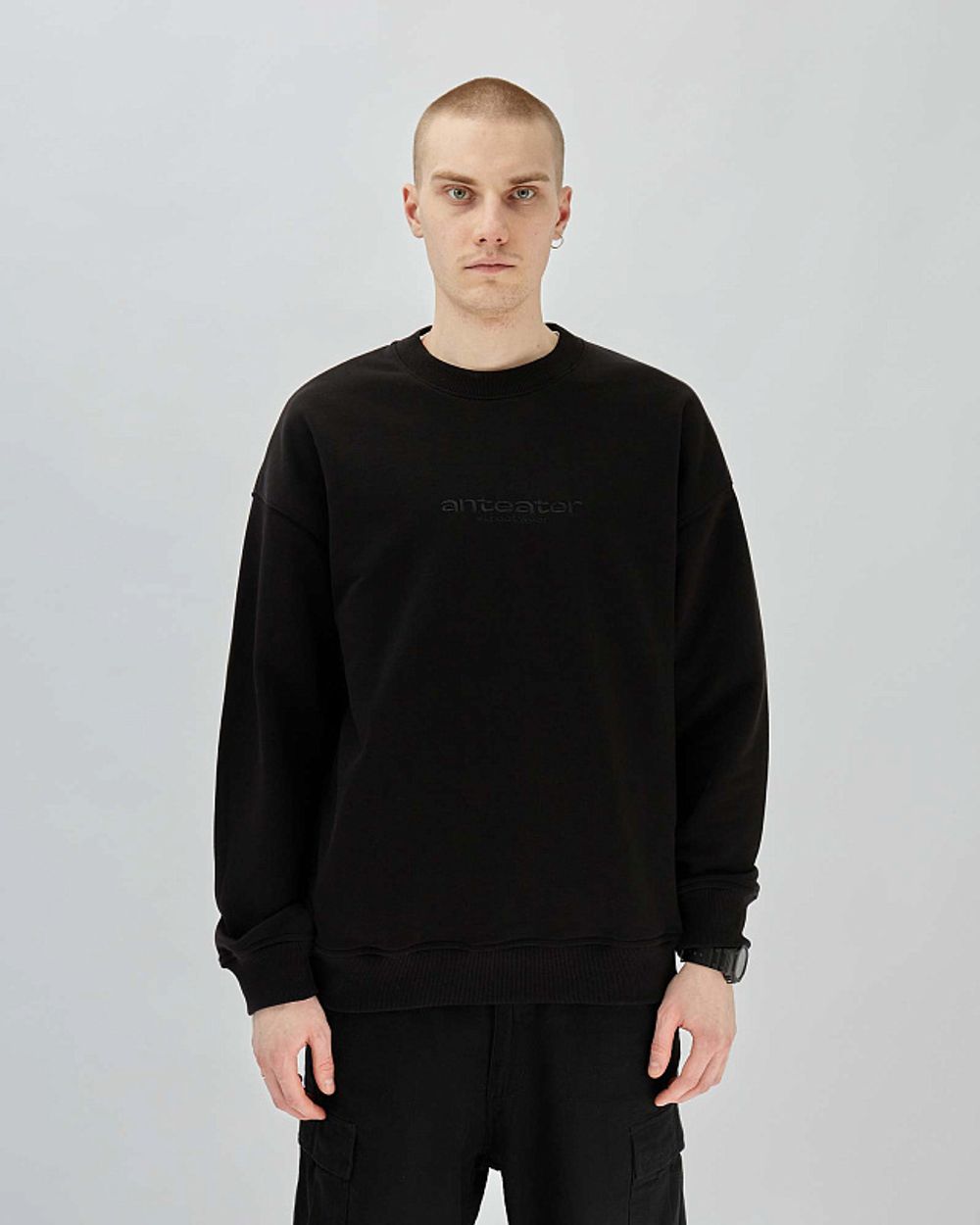 Толстовка Anteater Crewneck Textlogo Black