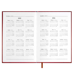 Ежедневник датированный 2025 ESCALADA, #ИЛОН МАСК, А5, 176 л.