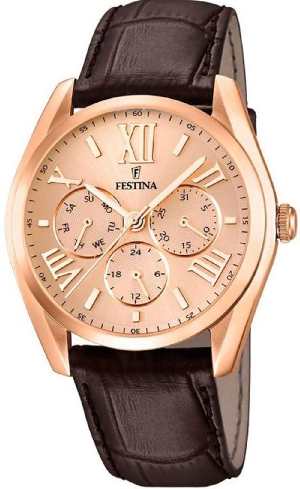 Мужские наручные часы Festina F16754/2