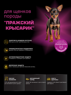 Корм сухой для щенков породы Пражский крысарик, с говядиной, 12 кг, QUATTRO