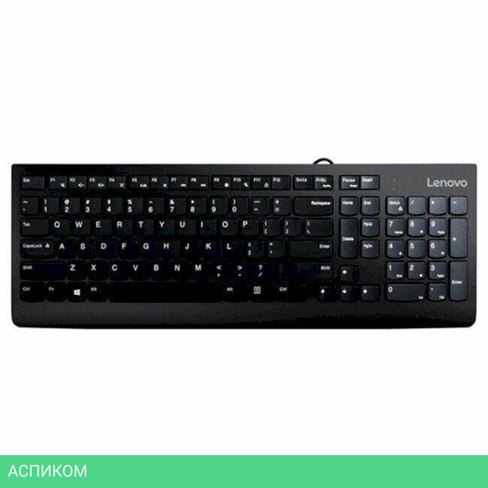 Клавиатура Lenovo 300 (GX30M39684)