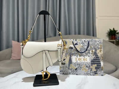 Christian Dior Saddle 25 cm