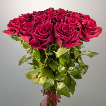 Букет из 25 Роз Эквадор 60