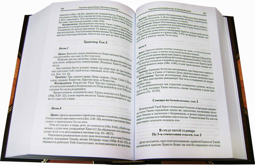 Преподобный Феодор Студит. Творения. Том 3 (книга 7 Полного Собрания Сочинений)_УЦЕНКА (замятости внизу обложки)