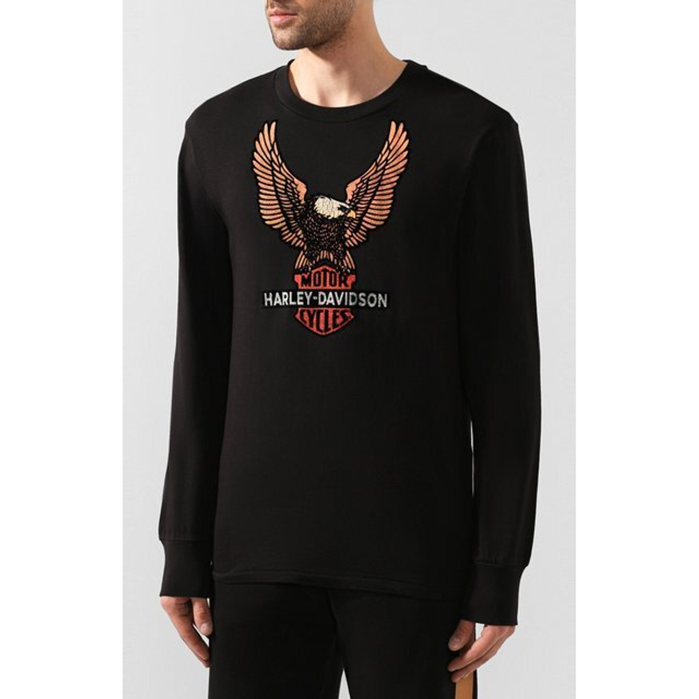 Джемпер Vintage Eagle Harley-Davidson