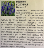 Вероника колосистая Голубая 0,1 г СМЦ-749