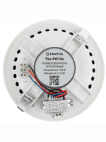 Громкоговоритель TSo-PW10a