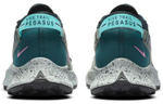 Кроссовки Nike Pegasus Trail 2 (Женская размерная сетка)