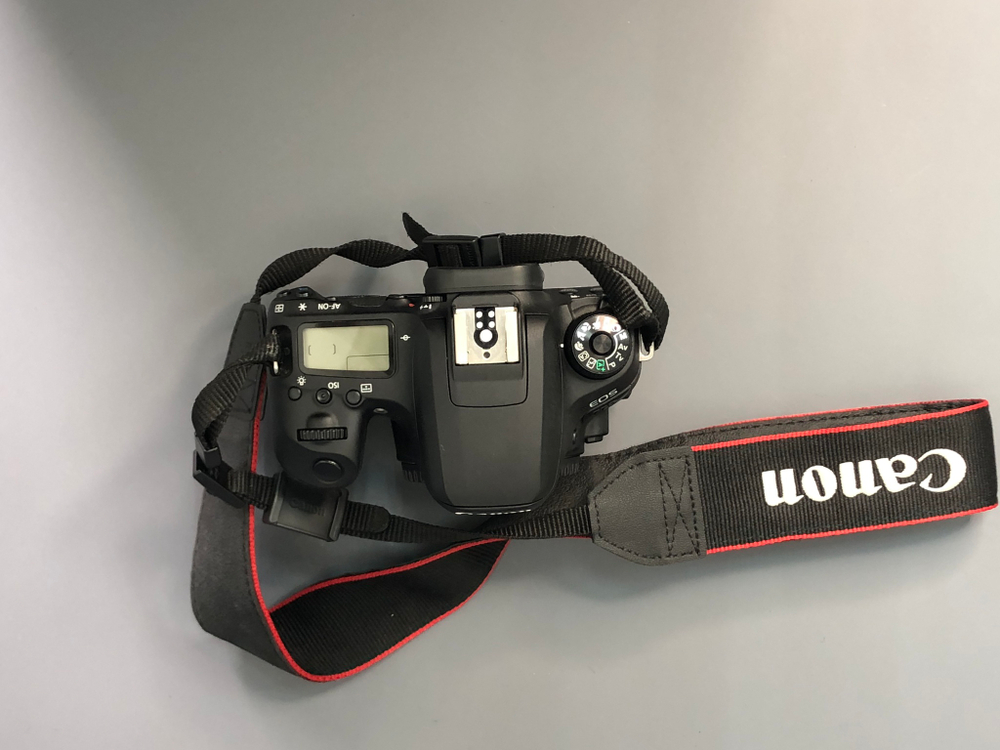 Canon 77D 15.000 кадров