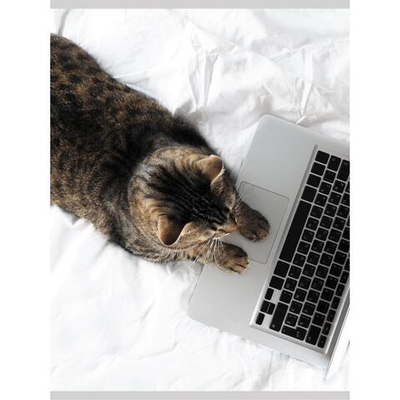 Тетрадь А4 60л клетка "Домашний офис" (Эксмо)