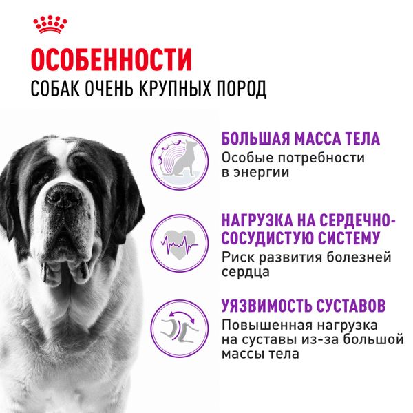 Сухой корм Royal Canin Giant Adult для взрослых собак очень крупных размеров от 18 месяцев