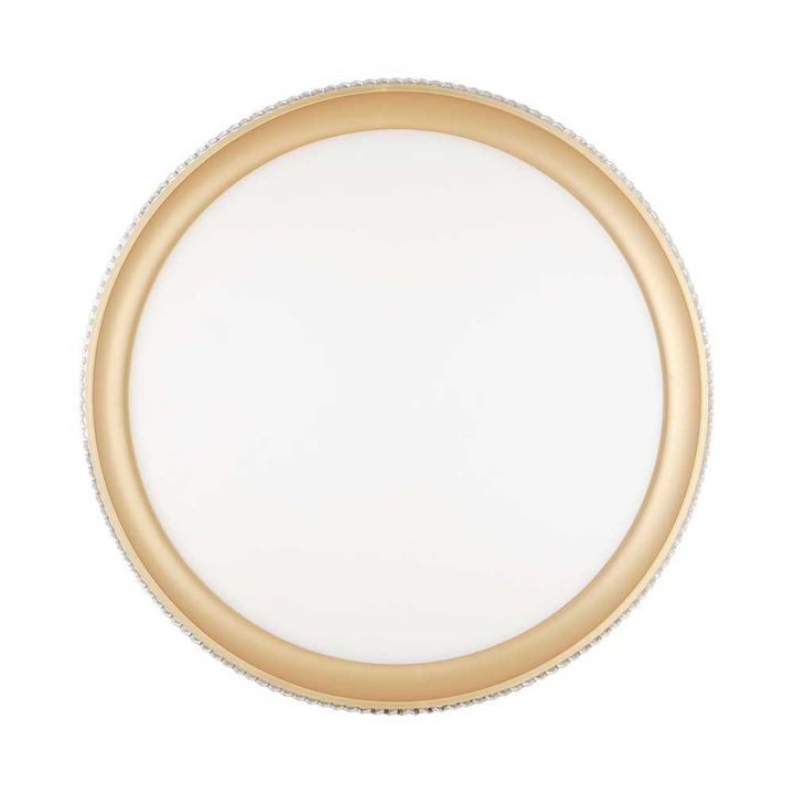 Настенно-потолочный светодиодный светильник Sonex Pale Shiny 3054/DL