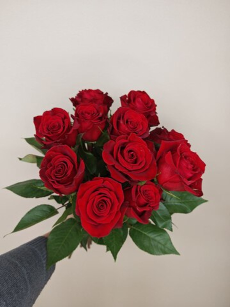 Красная роза "фортуна"