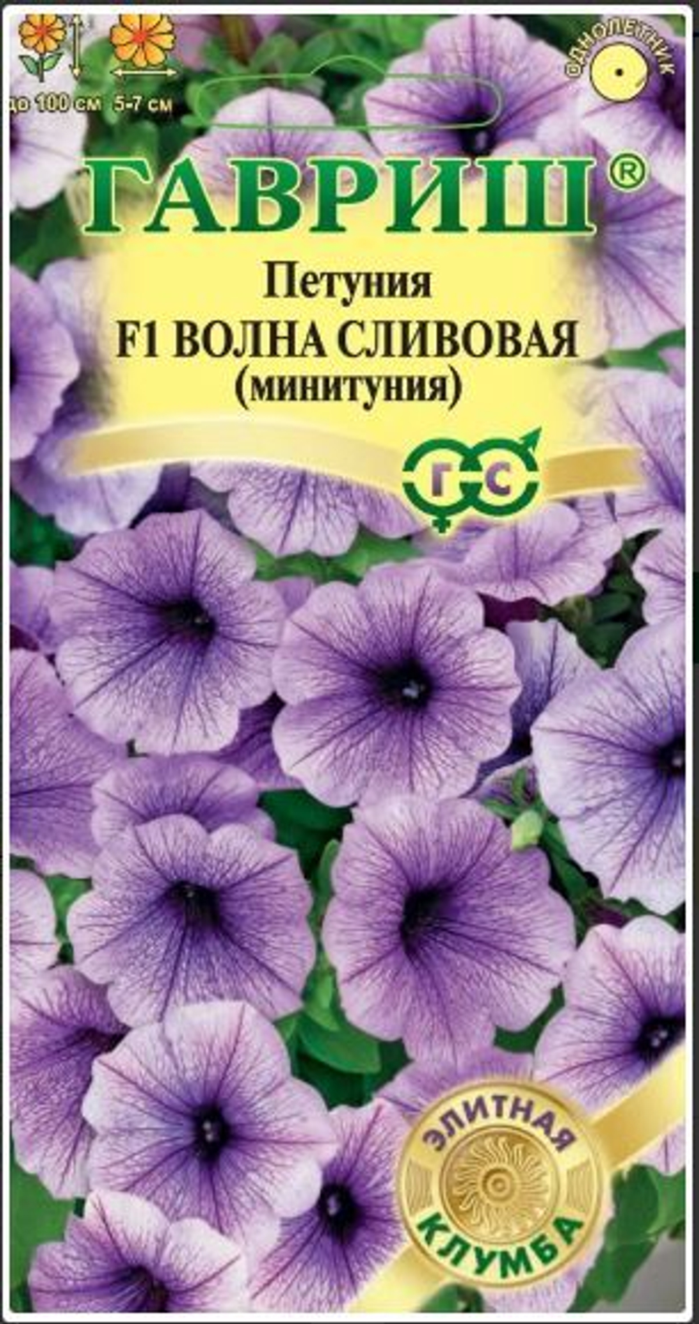 Снимок 2