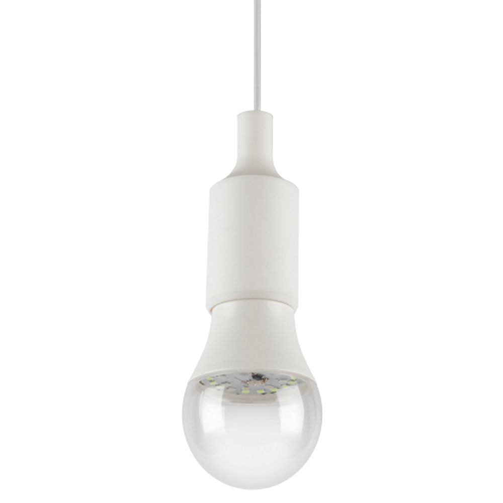 Лампа для птиц и рептилий ЭРА Chicken с UVB спектром FITO-Dim 9W E27 | Лампы для птиц и рептилий