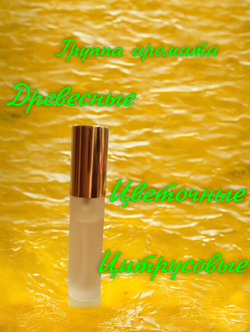 СвеТLана Mr. Newl C&M058-01 Наливная парфюмерия женская 10 мл