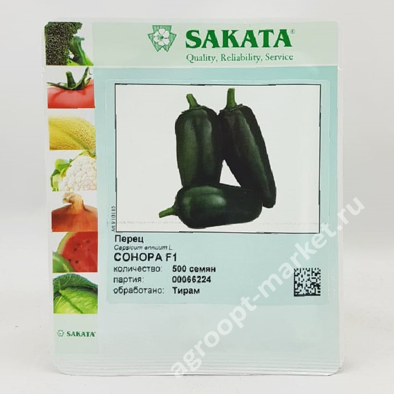 СОНОРА F1 семена перца острого (Sakata | Alexagro) – фото 2