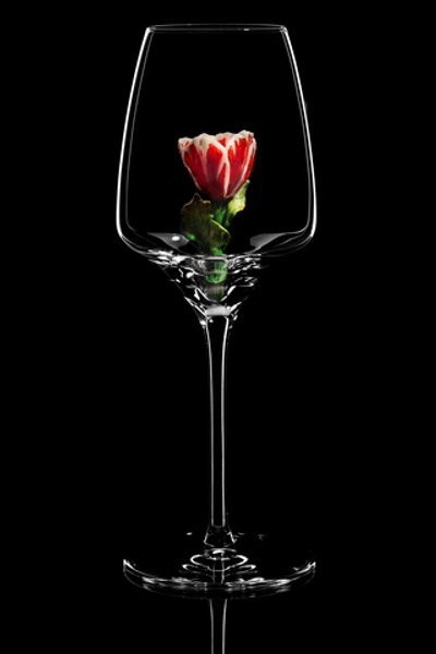 Бокал для белого вина. / Тюльпан красный.