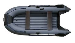 Надувная лодка ProfMarine РМ 320 Air Economic